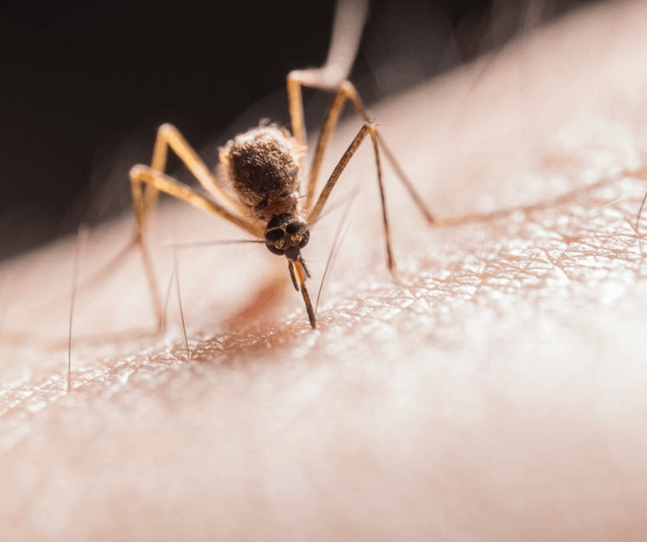 Спрей против комари